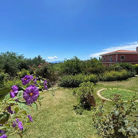 Sunrise Hotel 3*